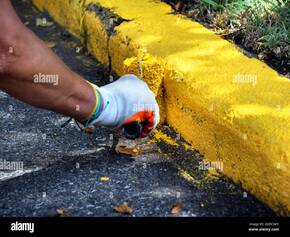 les-ouvriers-repeignent-le-trottoir-de-la-rue-en-jaune-ils-utilisent-des-rouleaux-de-peinture-2gdcg0y.jpg